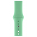 Platina Watchband For iWatch 42mm - 44mm - Groen